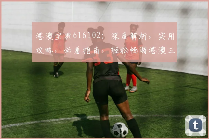 港澳宝典616102：深度解析，实用攻略，必看指南，轻松畅游港澳三步走