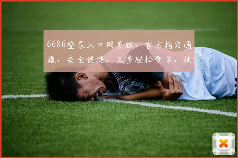 6686登录入口网页版，官方指定通道，安全便捷，三步轻松登录，快速体验
