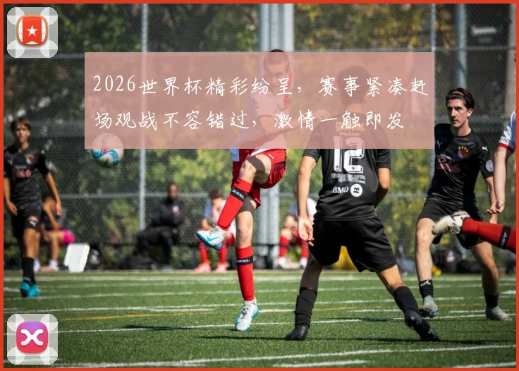 2026世界杯精彩纷呈，赛事紧凑赶场观战不容错过，激情一触即发