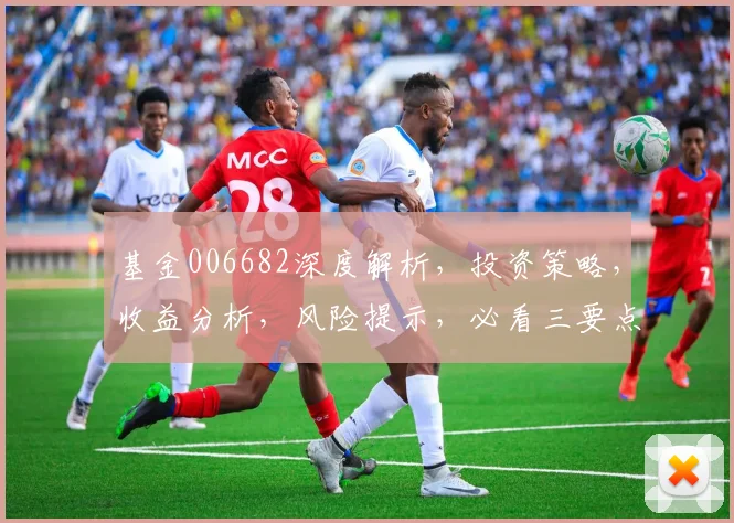 基金006682深度解析，投资策略，收益分析，风险提示，必看三要点